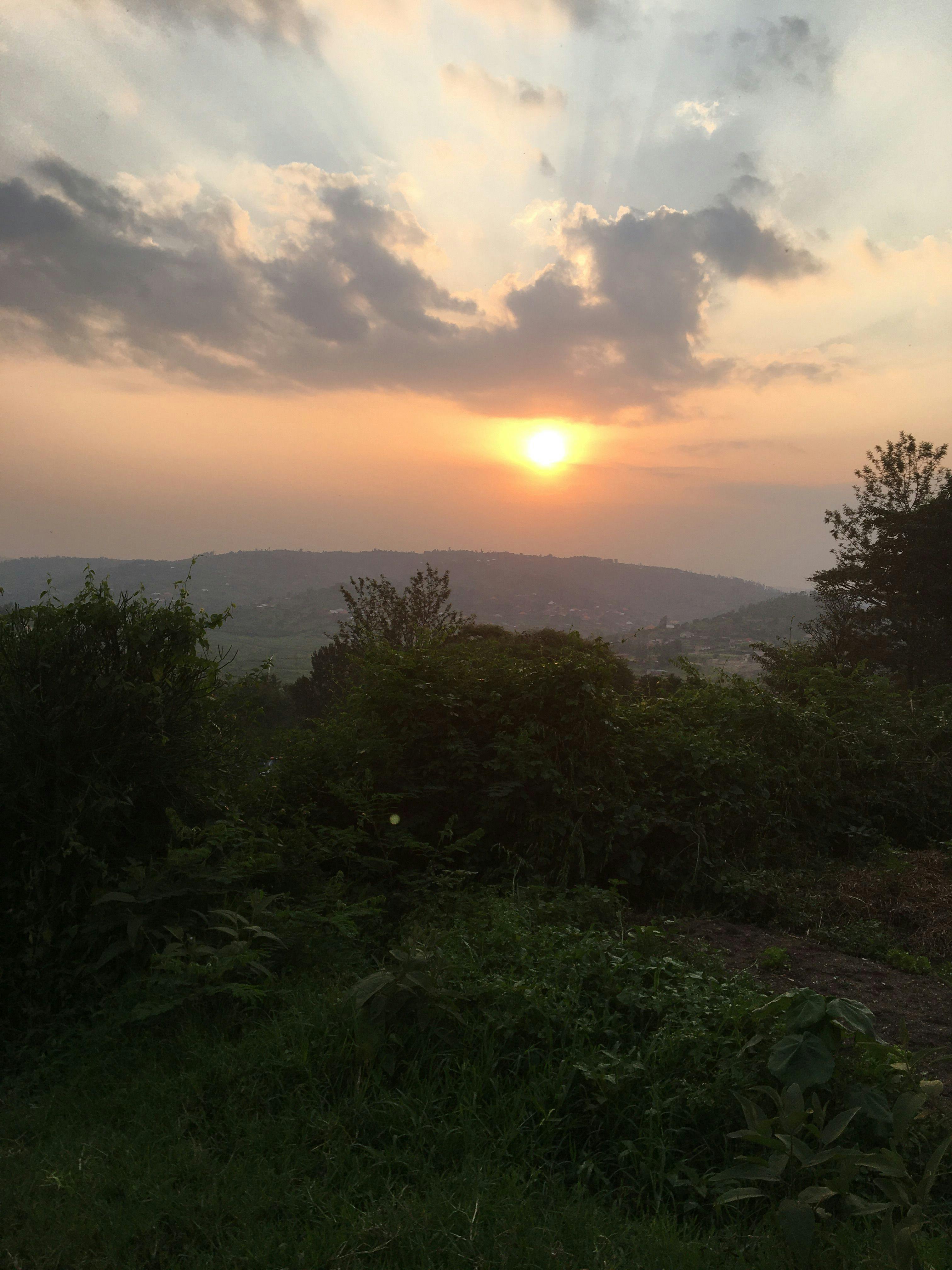 A picture of the sunset from Ruyenzi
